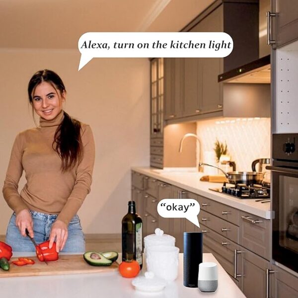 Smart 2-Way 2-Gang Touch Switch - Image 5