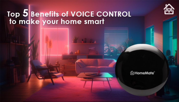 Top 5 Benefits Of Voice Control To Make Your Home Smart