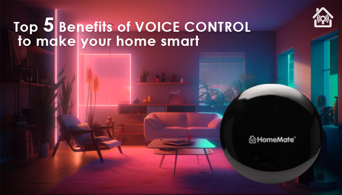 Voice Control