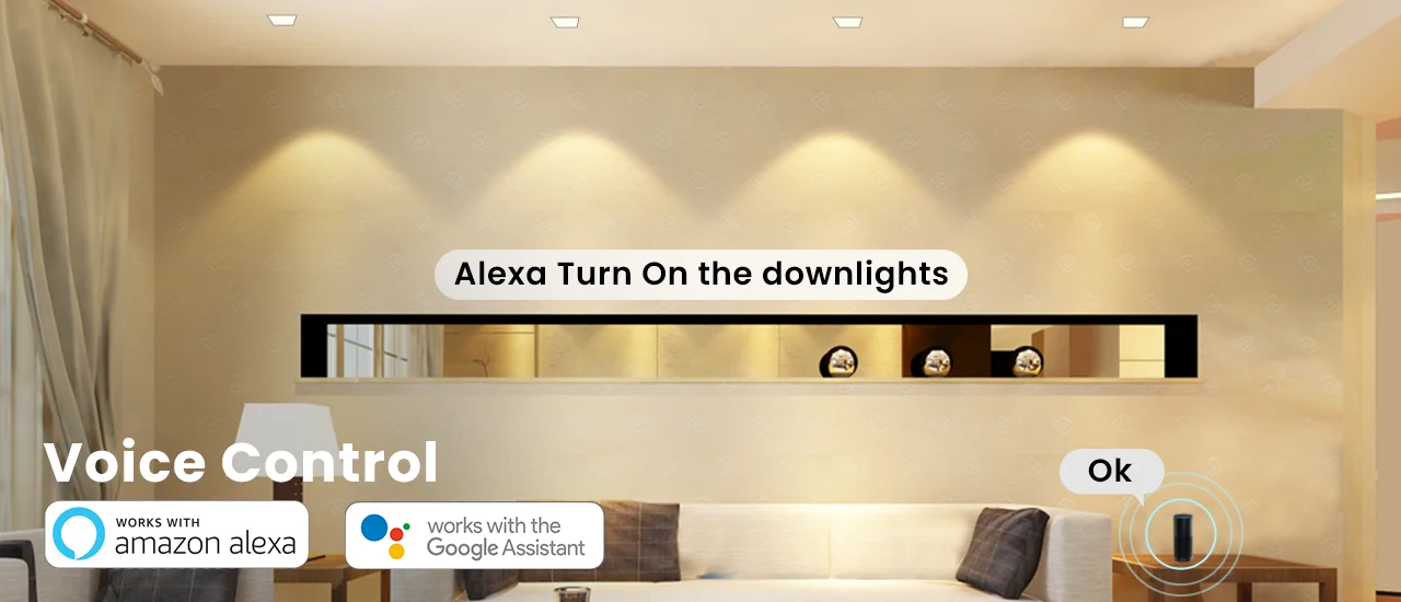 Downlight Alexa Feature