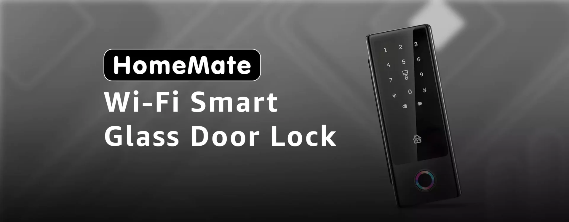 Smart Glass Door Lock